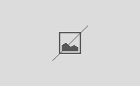 نخستین هویت من، عضویت در حزب حاکم است
