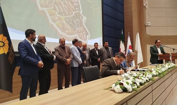خام فروشی خرمای ایران به صرفه نیست