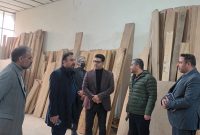 معاون فرماندار پردیس از واحدهای تولیدی بازدید کرد