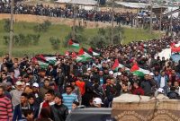 چگونه گره فلسطین گشوده خواهد شد