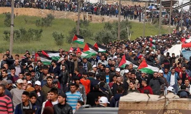 چگونه گره فلسطین گشوده خواهد شد