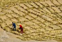 الگویی برای مهار بیابانزایی در جهان الگویی برای مهار بیابانزایی در جهان