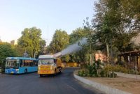 عملیات تخصصی برای صیانت از چنارهای میدان تجریش عملیات تخصصی برای صیانت از چنارهای میدان تجریش
