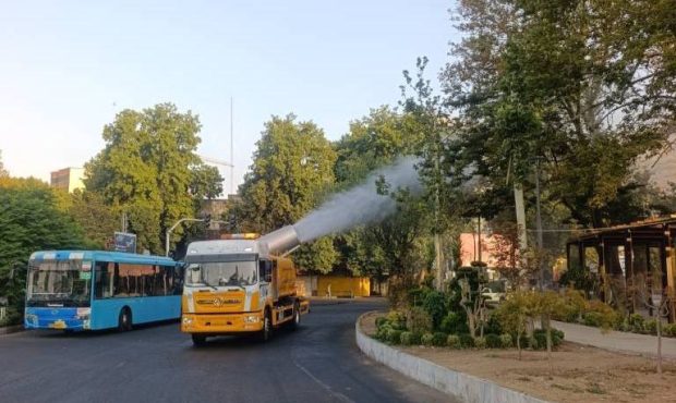 عملیات تخصصی برای صیانت از چنارهای میدان تجریش